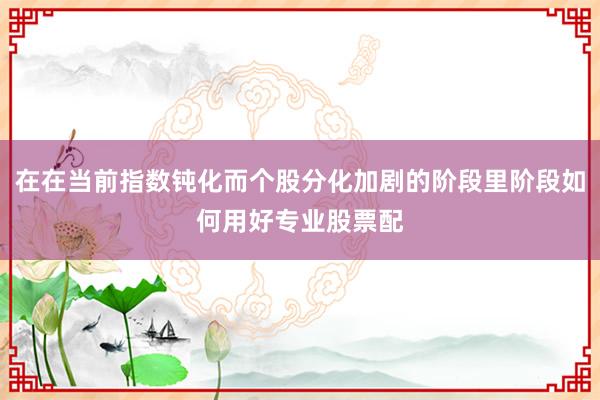 在在当前指数钝化而个股分化加剧的阶段里阶段如何用好专业股票配