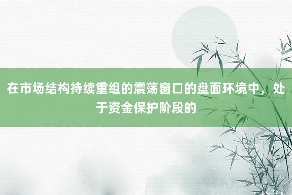 在市场结构持续重组的震荡窗口的盘面环境中，处于资金保护阶段的