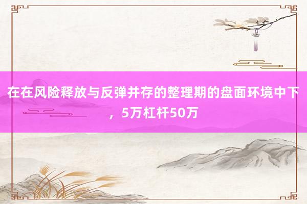 在在风险释放与反弹并存的整理期的盘面环境中下，5万杠杆50万