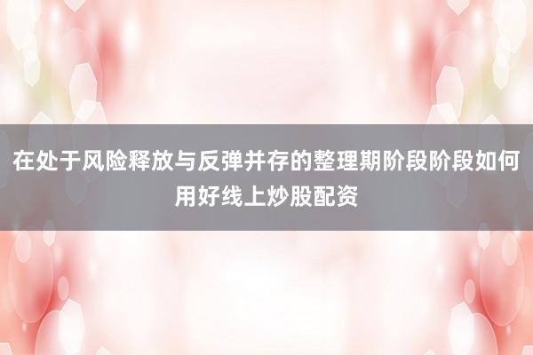 在处于风险释放与反弹并存的整理期阶段阶段如何用好线上炒股配资
