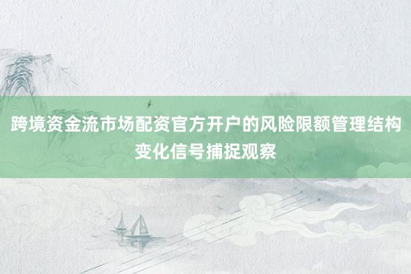 跨境资金流市场配资官方开户的风险限额管理结构变化信号捕捉观察
