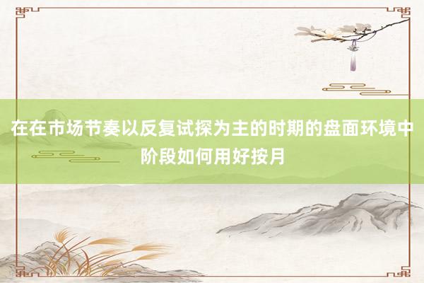 在在市场节奏以反复试探为主的时期的盘面环境中阶段如何用好按月